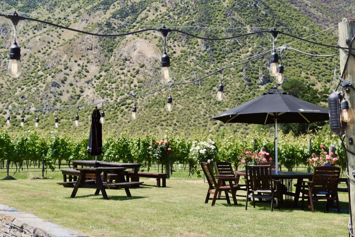 Festoon lights strung above picnic tables on the garden lawn, roses along the vine rows and a steep scree face rising behind