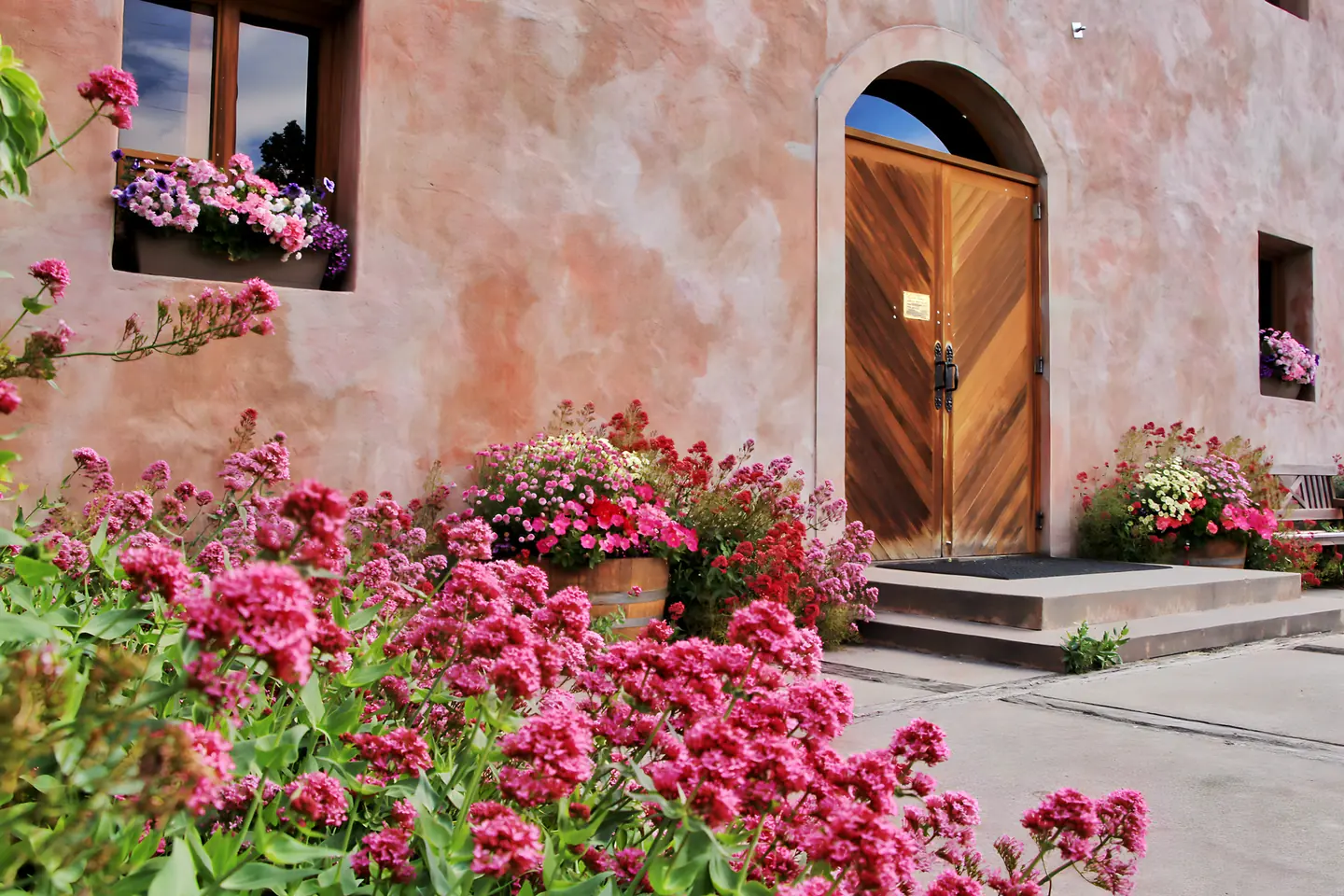 The arched timber doors into the Chard Farm tasting room, banked either side with pink valerian and window boxes
