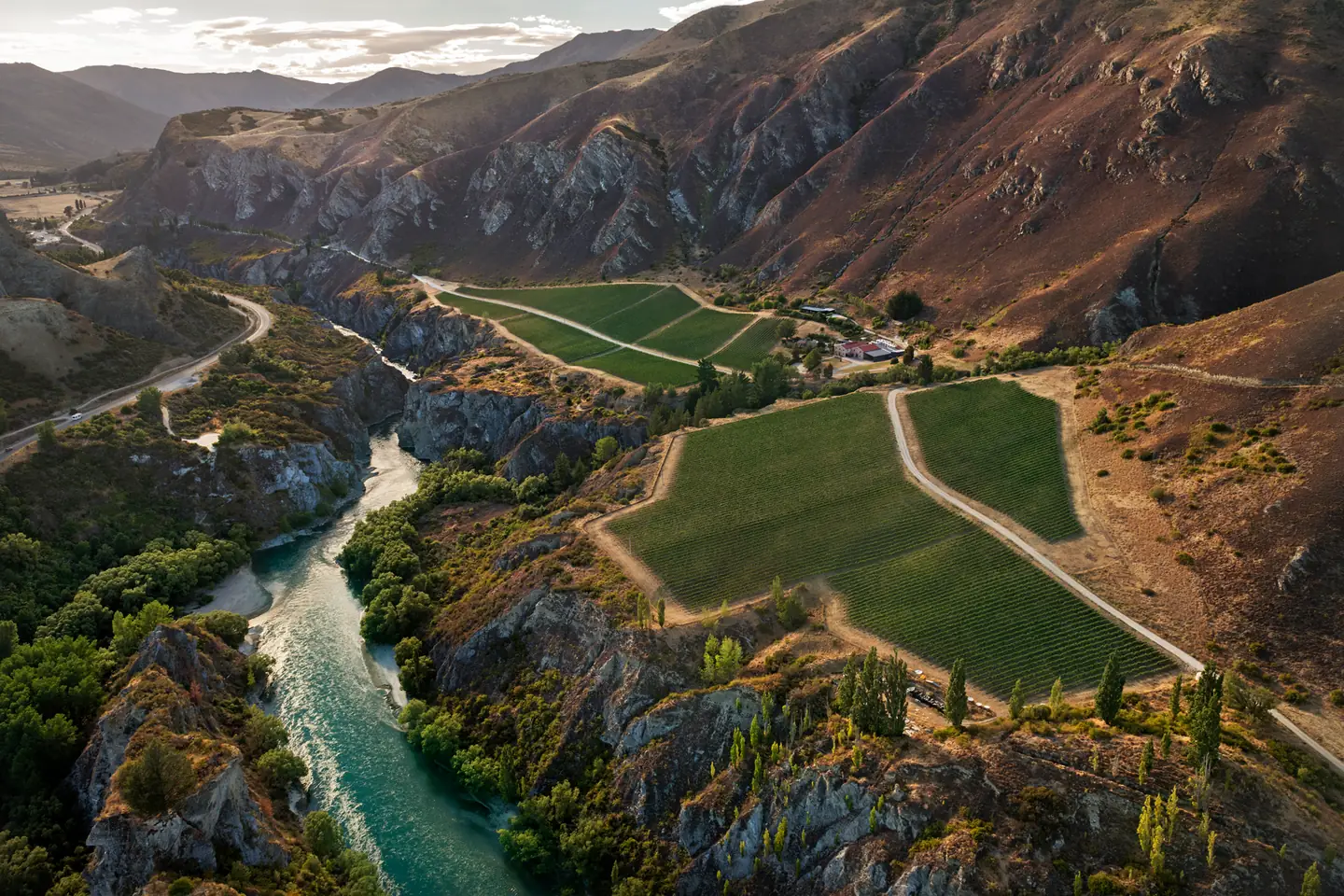 Chard Farm's Home Block vines on a terrace high above the turquoise Kawarau River, schist bluffs closing in on both sides