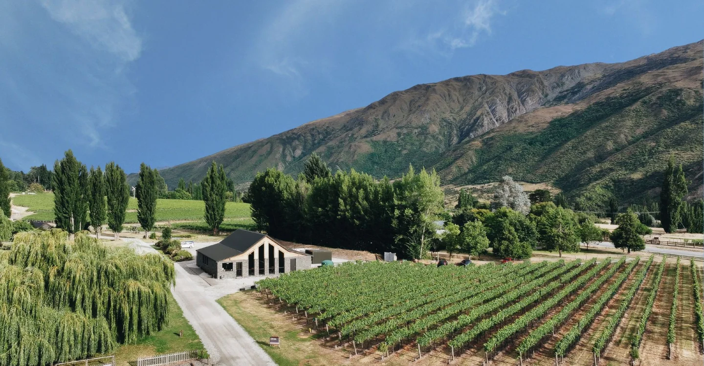 The low stone-and-timber cellar door building sitting at the end of its own vineyard rows, with a bare schist hillside rising behind