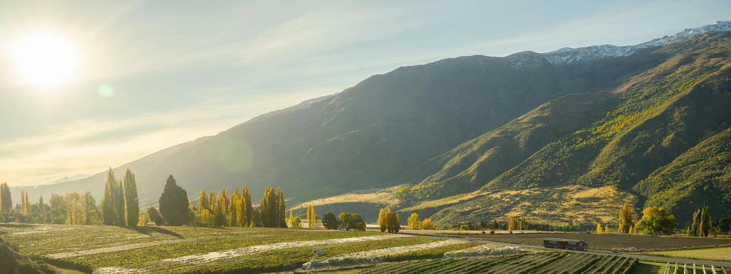 Low autumn sun breaking over the Gibbston Valley, poplars and vineyard blocks running along the valley floor below the ranges