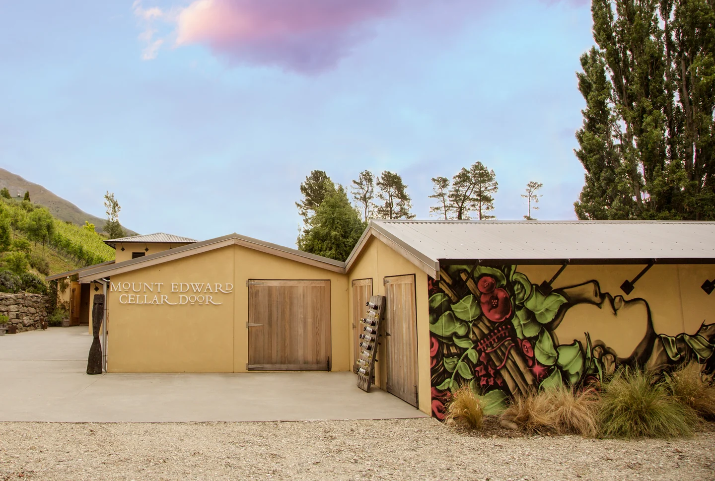 Two low ochre sheds under a pink dusk sky, one wall painted with a grapevine mural, the words Mount Edward Cellar Door lettered above the doors