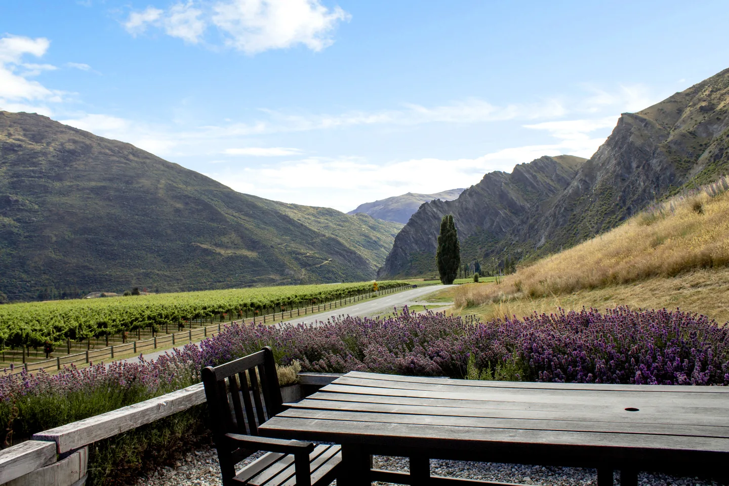 A bare wooden table on the terrace looking down the valley over lavender, vine rows and the road running out between the hills